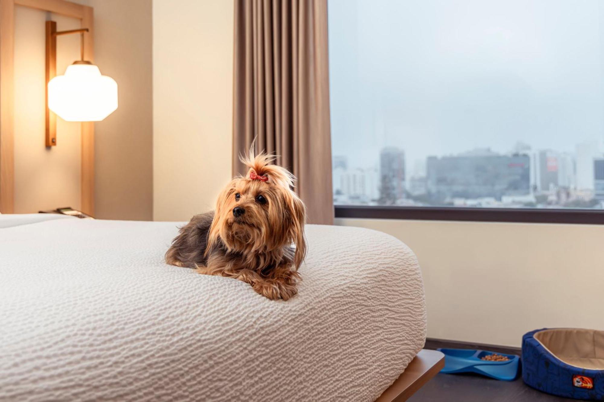 Fairfield By Marriott Lima Miraflores Extérieur photo